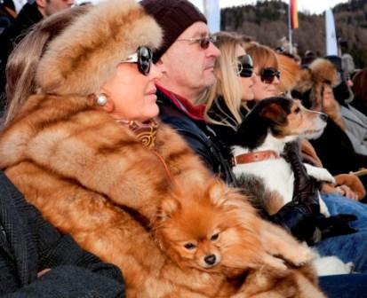 Copa Anual de Polo en Nieve, St Moritz (Suiza) (2011)